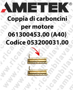 Couple du Carbon Moteur Aspiration pour moteur Ametek 061300453.00 (A40) Cod: 053200031.00