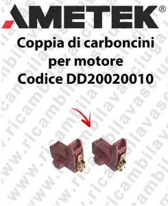 Couple du Carbon Moteur Aspiration pour moteur Ametek Cod: DD20020010