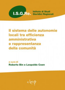 Il sistema delle autonomie locali tra efficienza amministrativa e rappresentanza della comunità 