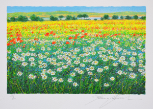 Quadro Stampa fine art – Pr Stefano Calisti Paesaggio con campi di grano