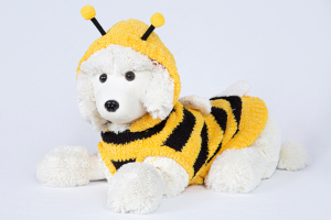 Hip Doggie Maglioncino per cani modello ape