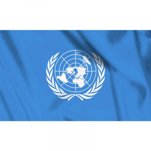 Bandiera Nazioni Unite