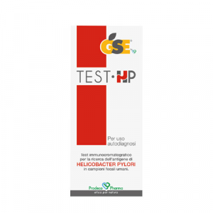 GSE TEST•HP