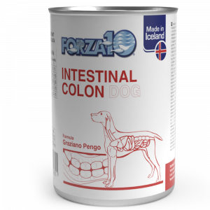 Intestinal Colon
