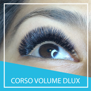 Dlux Professional Italia