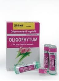 Holistica Oligophytum Zinc-Niquel-Cobalt 100 Granulos