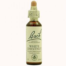 Bach 35 White Chestnut 20ml