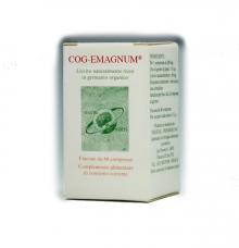 Cog-Emagnum | Lievito di Birra