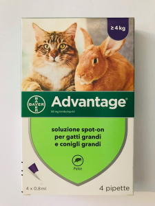  Advantage per gatti piccoli e conigli piccoli 4 pipette ad 0,8 ml