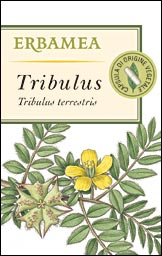 TRIBULUS frutti e.s.+in.  50cps