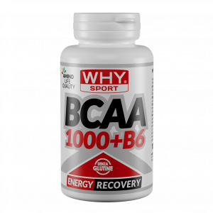 Why Sport & Nutritions, Whysport Bcaa 1000 + B6 100 cpr