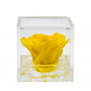 Flowercube rose stabilizzate colore gialla