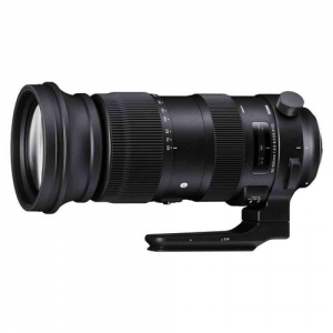 Sigma - Obiettivo fotografico - 60 600mm f/4.5 6.3 DG OS HSM Sport
