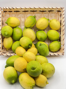 Limoni Calabresi kg 1 