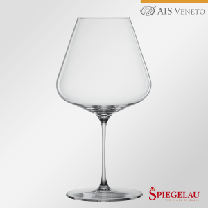 Calice da degustazione 'Burgundy Glass' linea Definition - Spiegelau (conf. 6 pz.)