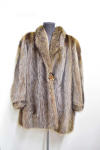 Fur Of Marmotta Canadese Size.l