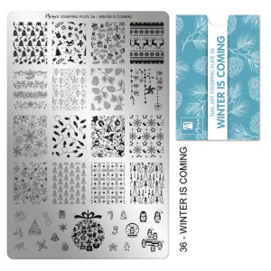 STAMPING PLATE 36 WINTER IS COMING