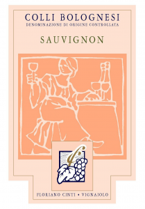 Sauvignon 2020 (in cartone da 12)