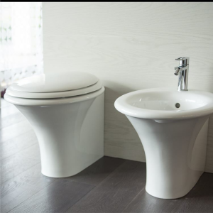 Back to wall WC and Bidet Sculture Hatria