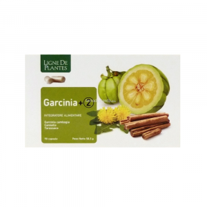 Garcinia +2  Conf. Da 90 Cps  Ligne de Plantes