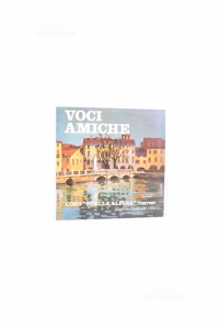 Disco Vinile 33 Giri Voci Amiche Coro Stella Alpina Treviso