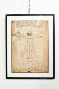 Quadro Copia Stampa Leonardo Da Vinci Uomo Vitruviano 63x83 Cm
