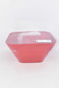 Salad Bowl + 4 Plates In Plastic Red New