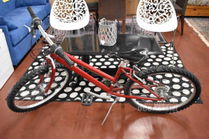 Fahrrad Von Junge Rot