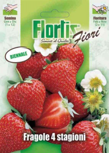 Flortis fragola 4 stagioni