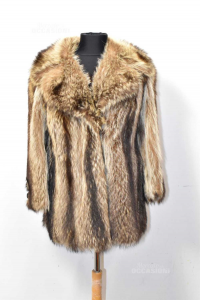 Fur Woman Short In Marmotta With Neck Jacket