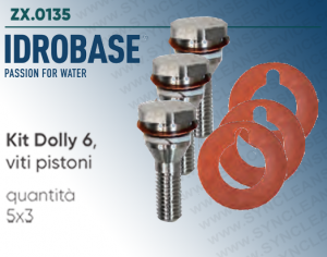 Kit Dolly 6 IDROBASE valido per pompe W101, W131, W151 INTERPUMP composto vite pistone